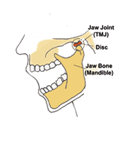 When the jaw opens the disc slides forward to help the jaw slide forward without dislocating.